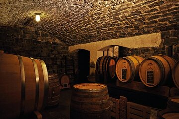 Flavours of Lake Como: a private wine tasting experience