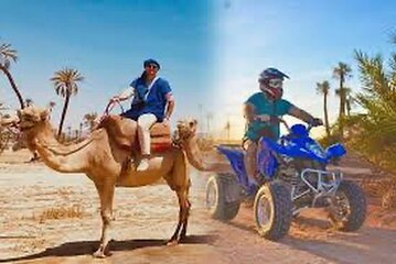 Half day Quad and Camel Ride