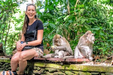 Ubud : One Day Tour With Private Guide and Car