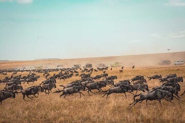 4-Day Serengeti Flying Safari Itinerary