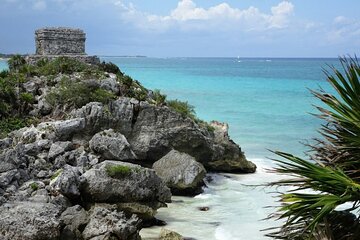 Explore TULUM 4x1: Cobá, Cenote and Mas, with transport + Lunch.