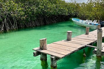 Private Tour Sian ka'an Biosphere Slow Rivers Lunch Included 