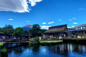 Mt. Fuji & Hakone English Guide Private Tour for 9 people 