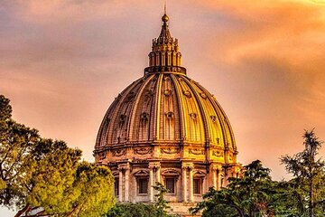 Priority access to St Peter's Basilica and guided tour