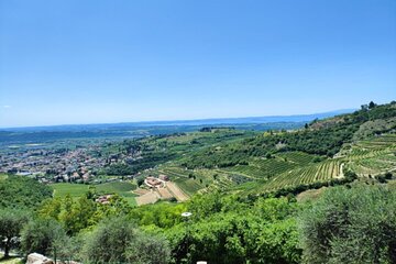A Sunday of Amarone A Half day wine tour