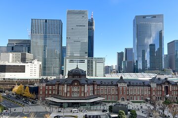 Tour to get to know a bit of all Tokyo with a guide in Spanish