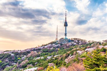 Seoul Panorama Tour; Landmarks & City Views