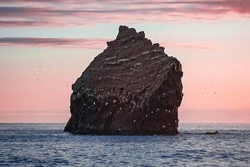 Wonders of the Reykjanes Peninsula