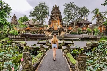 All Inclusive of Ubud Top Attraction 