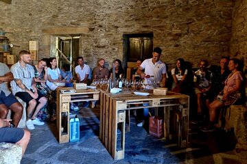 Douro Valley Guided Tour of 3 Vineyards with Lunch