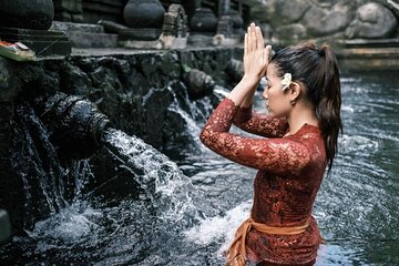 Ubud Highlights Rice Terraces, Temple, Waterfall & Monkeys forest