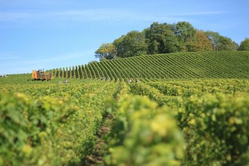 Transfer from Paris to Reims and Epernay Vice Versa One way