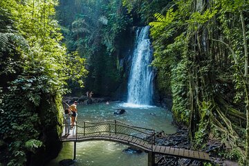 Bali: Best of Ubud Instagram highlights All-inclusive Package 