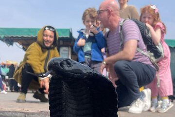 Marrakech Medina Half Day City Tour with Official Guide
