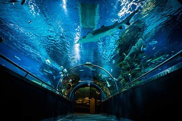 Budapest Tropicarium