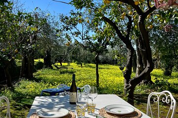 Sorrento: Cooking with a Local Chef & Wine Pairing by the Sea 