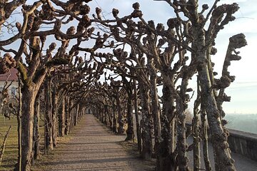Private historic city tour with castle visit in Dachau