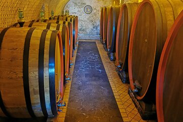  Mount Etna Tour with 2 Wineries Experience from Taormina