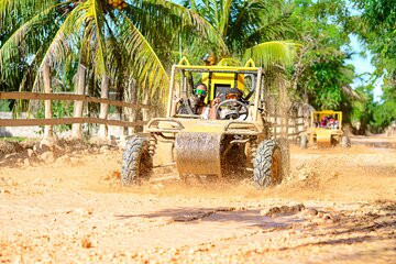 Enjoy ATV and Buggy Without Limits