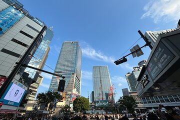 Tokyo Shopping Adventure with a Fashion Expert