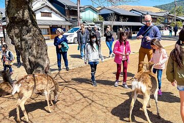 Tailor Made 13 Days Japan Family Vacation for Your Kids