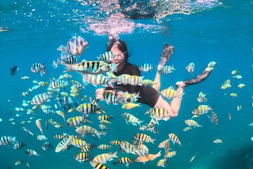 Gili Nanggu, Kedis & Sudak Boat Trip ( Full Day + Snorkeling )