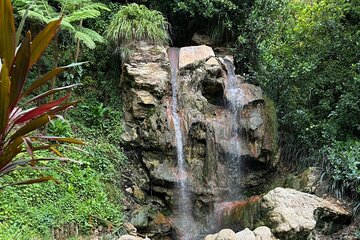 Soufriere Catamaran Excursion & Sapphire Falls Hike