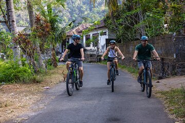 Bali Bike Tour Ubud Area