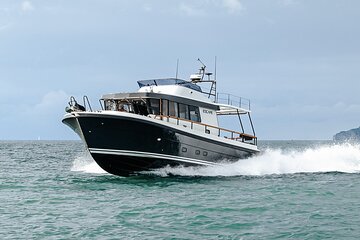 Private Full-Day Motor Yacht Cruise with Meal, Open Bar+Transfers