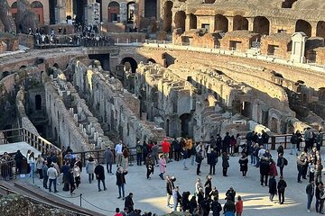 Colosseum, Palatine Hill and the Roman Forum with audio guide