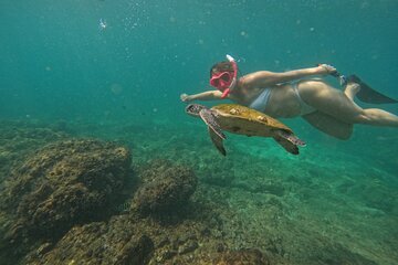 From Dubai Snorkeling Trip In Musandam With Lunch And Transfer
