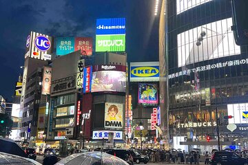 Tokyo Customizable Private Tour with Private Driver