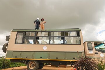 Overland Game Drive in Nairobi National Park