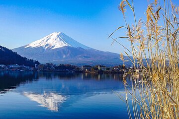 Customized 11 Days Japan and South Korea Adventure