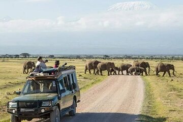 5 Days Safari to Amboseli, Lake Nakuru and Masai Mara