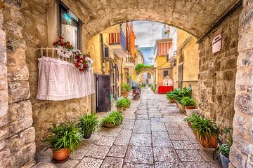 Private transfer from Naples to Bari with 2h for sightseeing stop