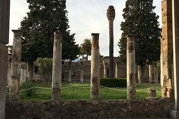 Pompeii Ruins and Herculaneum and Vesuvius Private Tour 