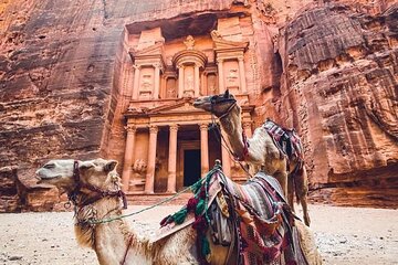 2-Day Private Tour Petra, Wadi Rum and the Dead Sea from Amman 