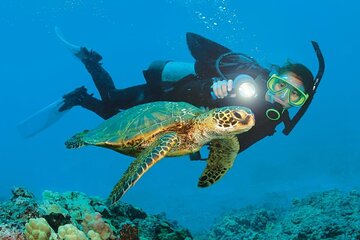 Alanya Scuba Diving and Snorkeling Trip
