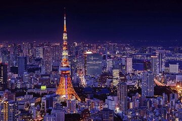 Tokyo City and Ashikaga Flowers Park or Kawagoe Private Day Tour 