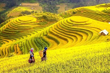 Customized 14 Days Vietnam Tour with History Culture and Nature