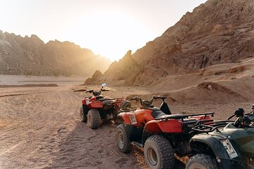 Family Adventure, ATV Quads, Buggies & Bedouin Night - Hurghada