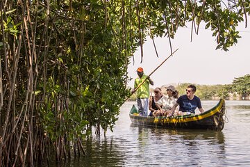 Explore La Boquilla’s Mangrove Tunnels with Local Fishermen