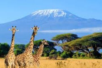 3 Days and 2 Nights Private Safari to Amboseli National Park