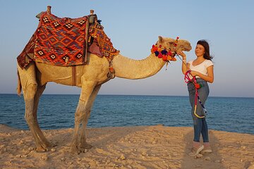 Beach Desert Camel Ride Red Sea Swimming with Dinner Hurghada