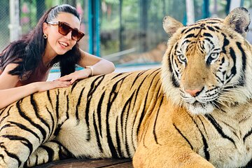 Phuket City Tour with Tiger Experience (Best Seller) 