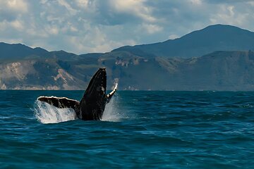 Christchurch to Kaikoura