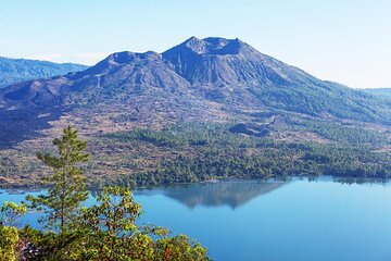 Bali: Ubud Kintamani volcano All-Inclusive Tour