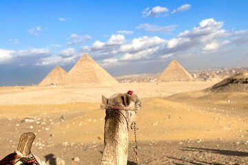 Private Tour in Giza Pyramids Sphinx and Valley Temple 