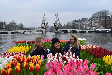 Amsterdam Tulip Boat Canal Cruise with Welcome Drink